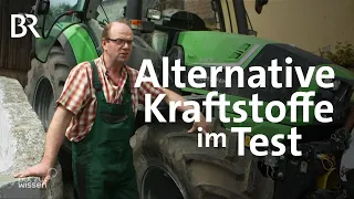 Alternative Kraftstoffe: Biodiesel, Pflanzenöle und Ethanol im Vergleich | Gut zu wissen | BR