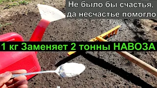 1 Ложку ... и лейку воды земля как новая, посыпте этим землю осенью для обильного урожая всего!