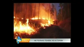 Больше полмиллиона гектаров леса горит в Иркутской области