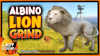 How to Set Up for An ALBINO LION GRIND in Savanna! - Call of the Wild