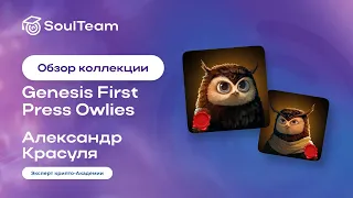 🔍 Обзор коллекции Genesis First Press Owlies