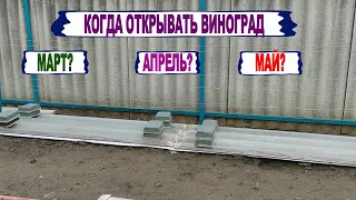 🍇 Когда ОТКРЫВАТЬ виноград в 2023 году. Когда ВЫМЕРЗАЮТ почки весной. Почему ВЫПРЕВАЕТ виноград?