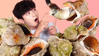 ENG SUB)Amazing! Chewy Giant Conch(Seashells) 5KG Eat Mukbang!🐚Korean Seafood ASMR Hoony Eatingsound