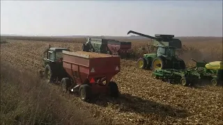 Planting Into Cover Crop   HD 1080p