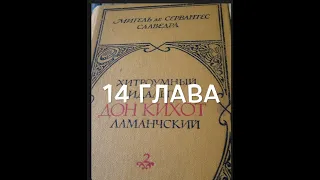 С любимыми книгами: "Дон Кихот", 2 книга, глава 14