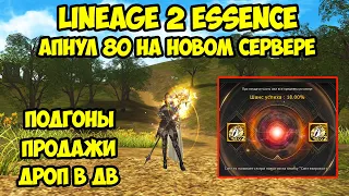 80 лвл на новых серверах взят в Lineage 2 Essence.