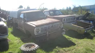 Hundreds of Classic Cars in a Field - Part 2