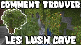 COMMENT TROUVER LES CAVERNES LUXURIANTE LUSH CAVE 1.18