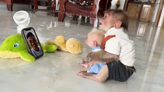 Very cute ! Smart monkey SinSin & ZiZi remember Dad and take action to ask Mom to call Dad