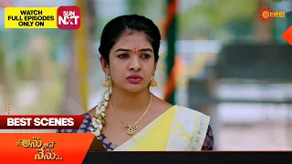 Anu Ane Nenu - Best Scenes | 02 April 2024 | Gemini TV Serial