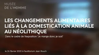 Les changements alimentaires liés à la domestication animale au Néolithique