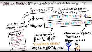 What is Bioinformatics?