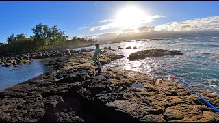 Big Island Part 2 Exploring Some Grounds with the GanG! Hawaii Vlog