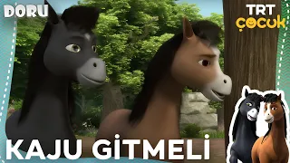 DORU | KAJU GİTMELİ