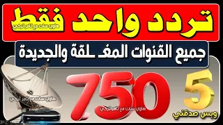 One frequency for all new Nilesat channels - Frequency for all channels