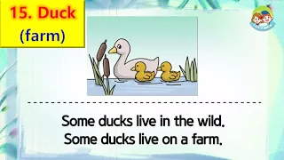 80 Animals | Unit 15- Farm | Duck