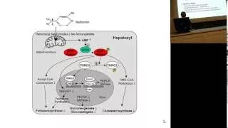 Block 10 Tutorium Pharmakologie Tag 1 edited