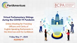 Virtual Parliamentary Sittings during the COVID-19 Pandemic (in English)