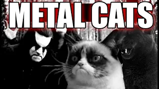 Metal Cats (funny video)