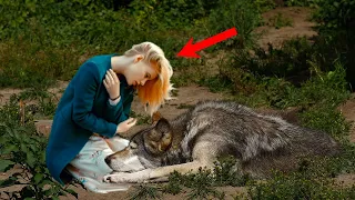 Кормящая волчица подыхала в лесу, моля спасти ее щенков. Эта девушка не смогла пройти мимо...