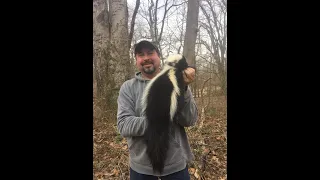 How to Dispatch a Skunk Without Getting Sprayed