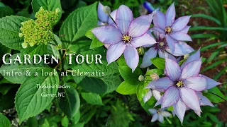 Inaugural Garden Tour, May 2024 - A little introduction and a look at some Clematis