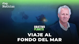 OCÉANOS: LORENZO MILÁ nos DESCUBRE los MISTERIOS del MAR PROFUNDO | RTVE