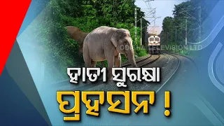 Two Elephants Die After Being Hit By Train In Odisha’s Khordha