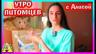 Как проходит Утро с ПИТОМЦАМИ у Алисы? / Что нового у Муравьев? / Alisa Easy Pets