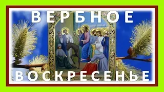 #Вербное воскресенье 2019 с праздником вас! Видео поздравление с Вербным воскресеньем