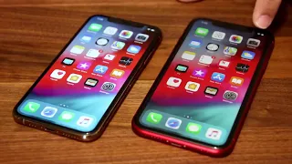 iPhone XR Review: No Need to Panic! 2020