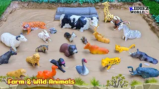 Muddy Adventures: Wild & Farm Animals Fun Learning for Kids | Kidiez World TV