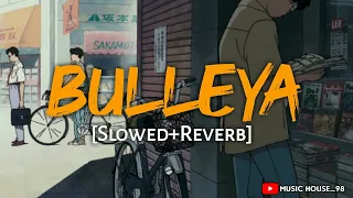 Bulleya[Slowed+Reverb]|Sultan|Salman Khan|Anushka Sharma|Vishal&Shekhar|Irshad Kamil|Papon