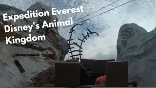 Expedition Everest full-ride 4K  Disney's Animal Kingdom Florida