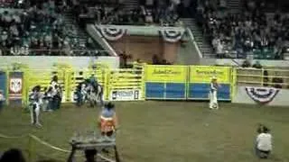 Mutton Bustin' at the National Western Stock Show