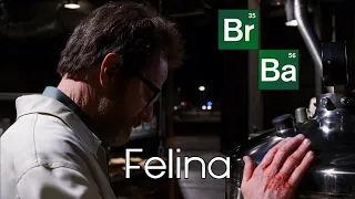 Breaking Bad Finale: "Felina"