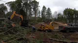 Vermeer BC1000 XL Gas WOOD CHIPPER eating big TREES! Excavator feeding it!