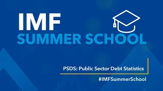 IMF Summer School: Public Sector Debt Statistics (PSDSx)