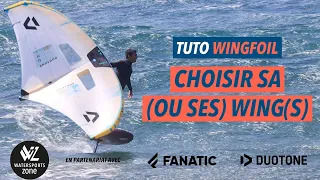 Wing Foil: How to choose the right Wing, the right size and built a good quiver of wings