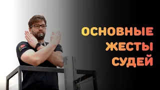 20 основных судейских жестов в волейболе