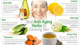 12 Anti Aging MUST Herbs After Age 50 🌿 A Guide to Healthy Aging