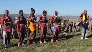 Umkhosi womhlanga my culture team hlalangentombi zulu maiden ndoniyamanzi