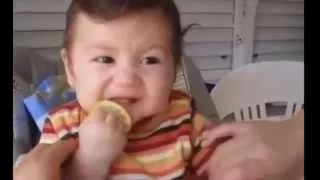 Babies Eating Lemons for the First Time  малыши едят лимон первый раз  00015