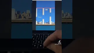 World record flappy plane