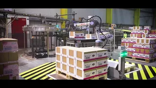 Collaborative robot in action