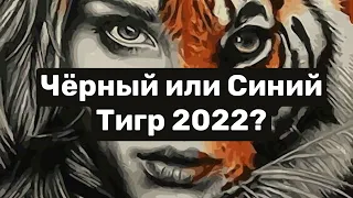 Чёрный или Синий Тигр 2022?