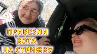 VLOG Кума пришла поздравить с прошедшим и подарок принесла