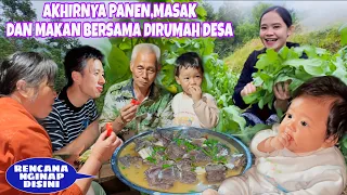 AKHIRNYA BISA PANEN SAYURAN LALU MASAK DAN MAKAN DIRUMAH DESA TERPENCIL