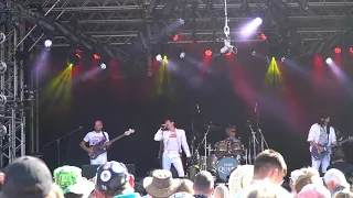Pure Queen - Queen tribute band - Under Pressure Live