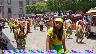 Danzas en Jardin Recorrido Santa Cruz del Valle del Maíz 2024 Apaches, Chichimecas, Tercera Parte🎉👏👍